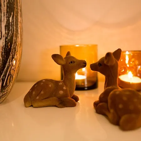 A Place Antwerp - Boutique Suites & Flats - Vrijdagmarkt 1 דירה
