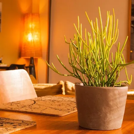 A Place Antwerp - Boutique Suites & Flats - Vrijdagmarkt 1 *